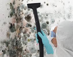 Professional Mold Inspection in Olivarez, TX